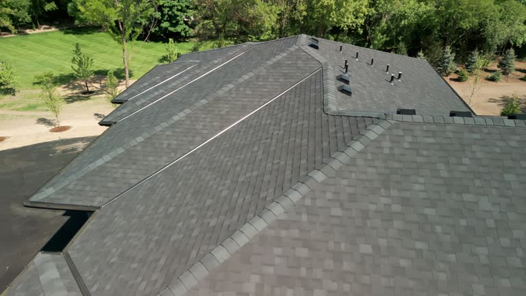Best Roof Coating and Sealing  in Spring Lake, MI