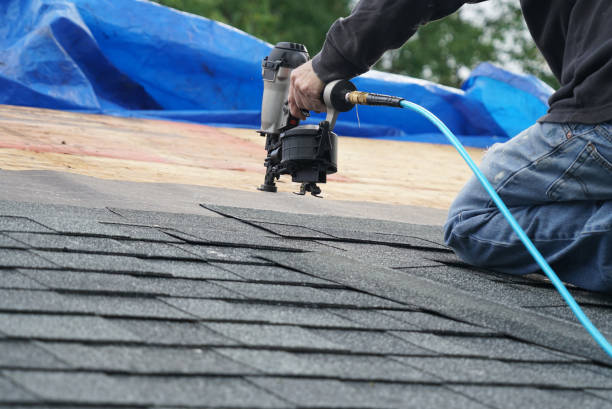 Best Roof Insulation Installation  in Spring Lake, MI