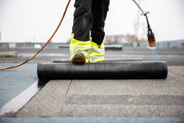 Best Metal Roofing Installation  in Spring Lake, MI